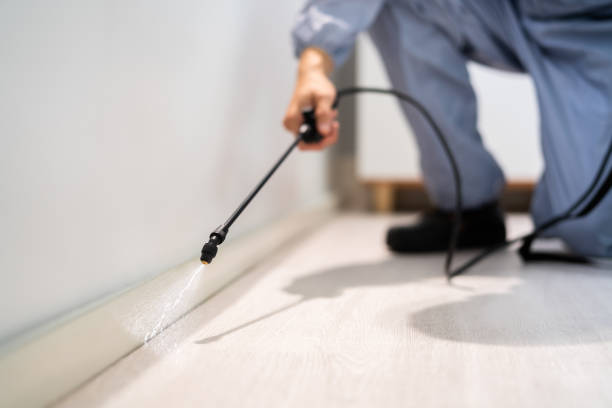 Licensed Ant Control service in Fifth Ward, LA - Show Me Pest Control